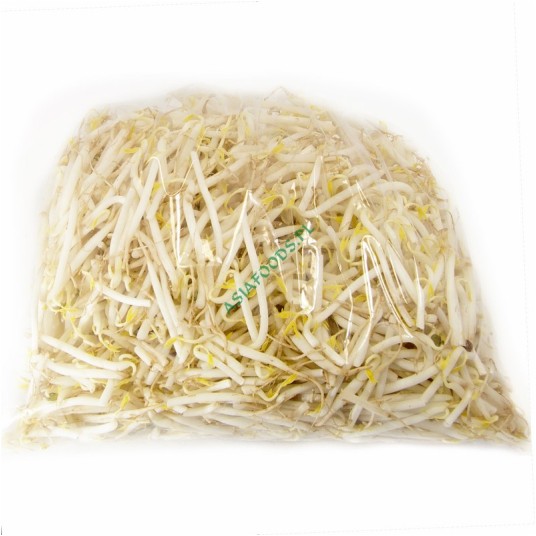 KIEŁKI ŚWIEŻE VN - 1kg/opk (luzem) -zdjęcie numer 1