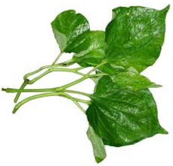 BETEL ŚWIEŻY "LA LOT" - 100g/op