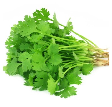 KOLENDRA ŚWIEŻA EU "MUI TA" - OPK