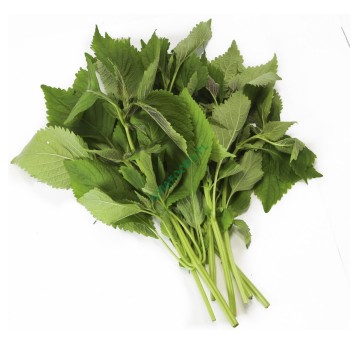 MELISA ŚWIEŻY "KINH GIOI" TL -100G/opk