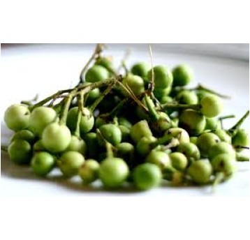 OBERZYNA ŚWIEŻA MINI ZIELONA "CA NUT AO" -100g/opk