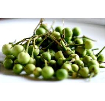 OBERZYNA ŚWIEŻA MINI ZIELONA "CA NUT AO" -100g/opk