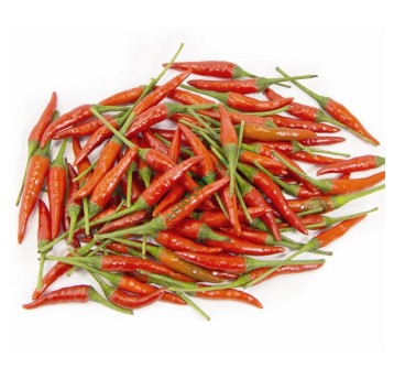 PAPRYKA ŚWIEŻA CHILLI CZERWONA "OT DO" -100g/opk