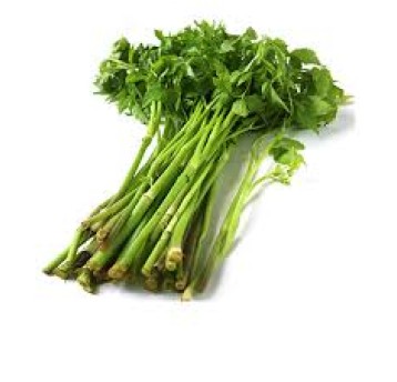 SELER AZJATYCKI ŚWIEŻY "CAN TA" TL " -200G /opk