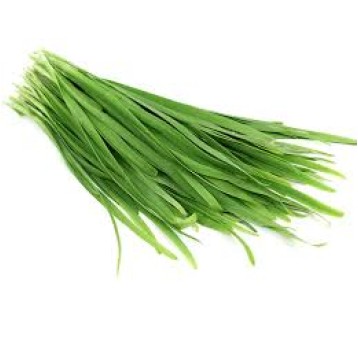 SZCZYPIOR AZJATYCKI - LA HE ŚWIEŻE (Kuichai) 1KG