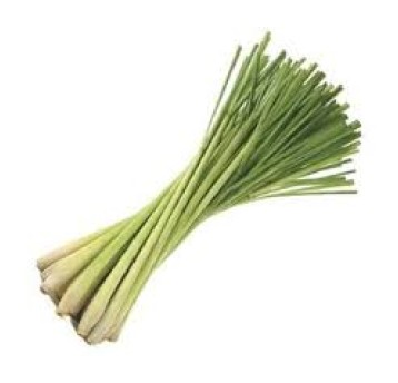 TRAWA CYTRYNOWA ŚWIEŻA "SA" - 100g/opk