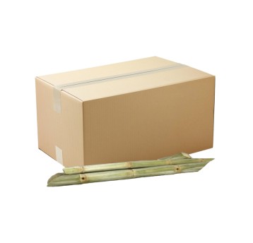 TRZCINA CUKROWA MROŻONA - LUZEM - ASF- 10kg/KRT